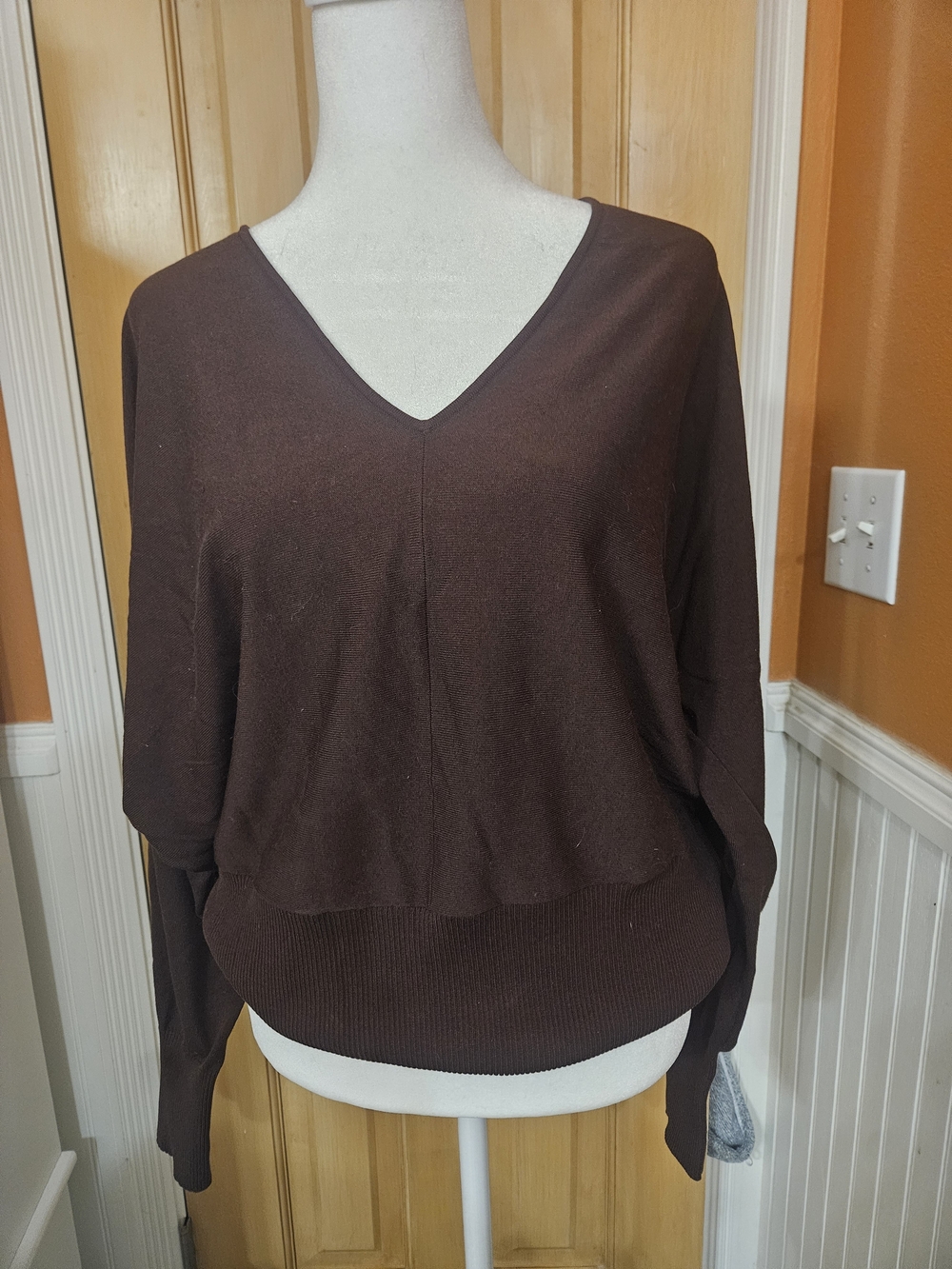 Express Women's V-Neck Brown Sweater